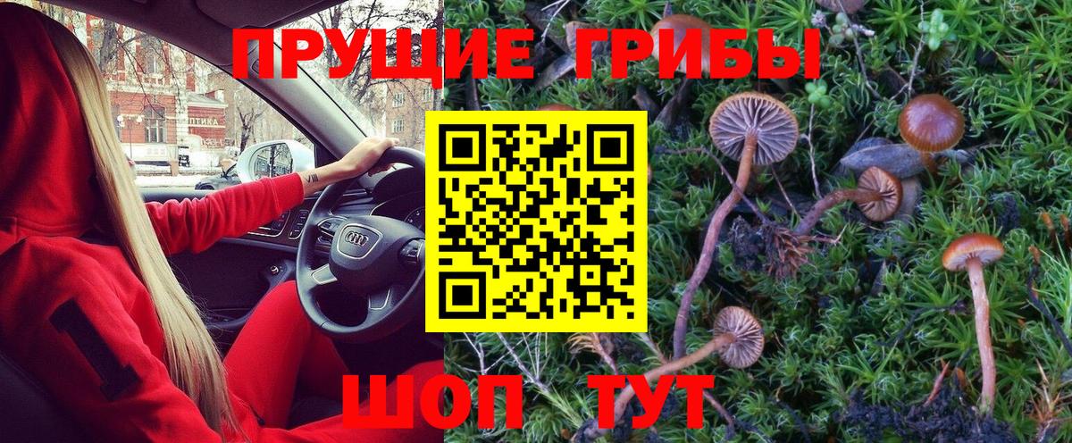 Галлюциногенные грибы Psilocybine cubensis  Вход с VPN  Галлюциногенные грибы Cubensis  Ирбит 